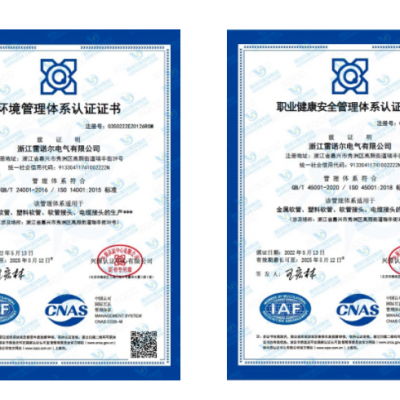 雷諾爾電氣順利通過ISO14001和ISO45001環境、安全管理體系認證